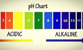 15267529_1274160532627834_5708913400633691437_n PH balance of your body