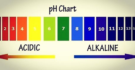 Body Ph Chart