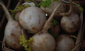 organic-food Is organic food really is healthier?