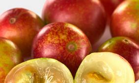 vitamic c counterclockwise Vitamin C Counterclockwise