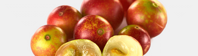 vitamic c counterclockwise Vitamin C Counterclockwise