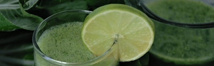 The effect of chlorophyll on the body The effect of chlorophyll on the body