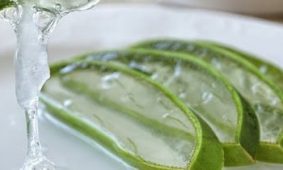 What is aloe vera 1 What is aloe vera?